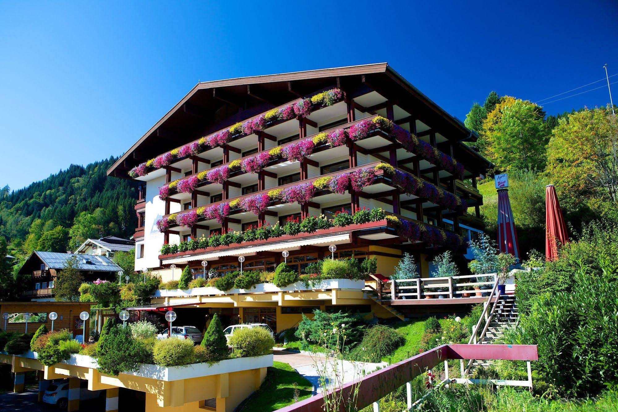 Hotel Alpin - Zell am See